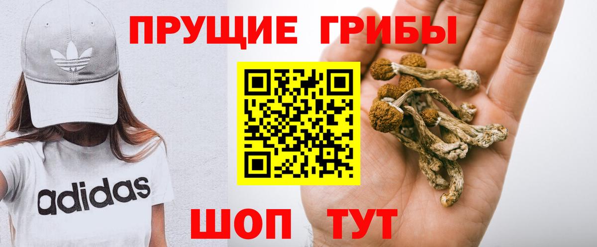 Георгиевск  Галлюциногенные грибы Psilocybe  Вход с VPN 